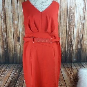 Plus size Jennifer Lopez dress